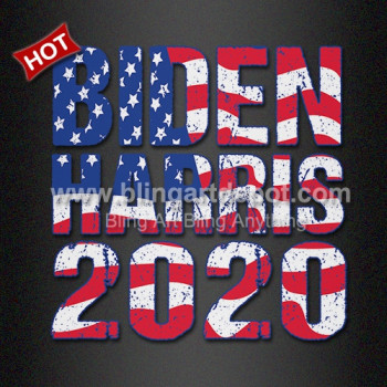 BIDEN HARRIS 2020 Heat Printing Vinyl Transfer for 2020 US Elections